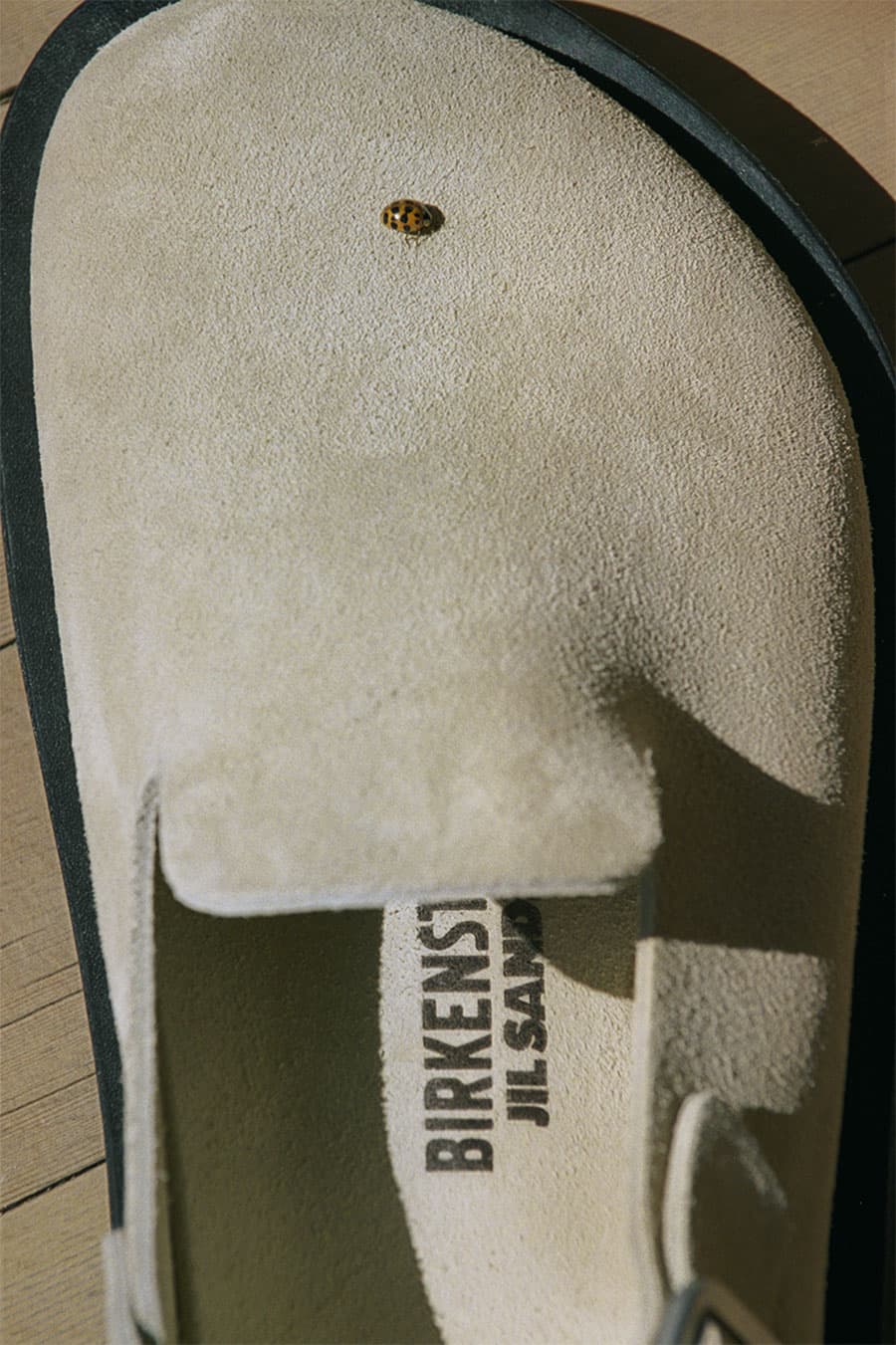 Gallery image 6