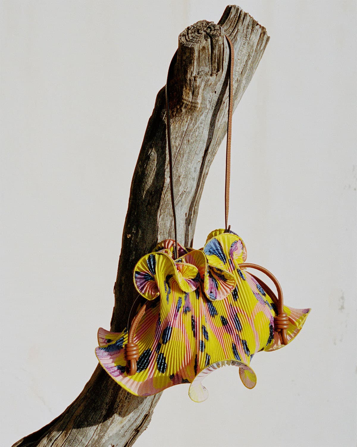 Gallery image 11