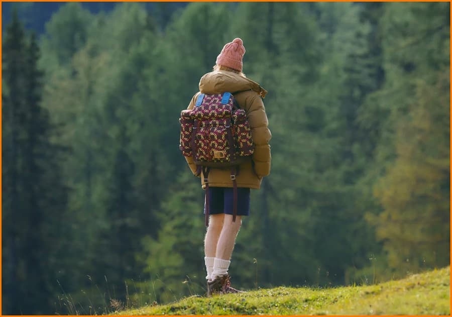 Gallery image 6